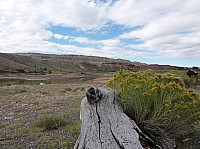 Big horn N.P_08.JPG